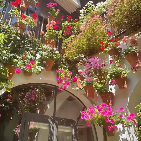 Apartment La Estrella *