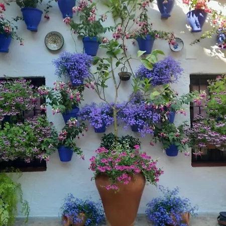 La Estrella * Cordoba