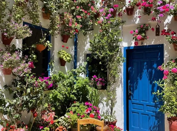 Geysotur La Estrella *