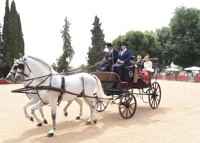 Apartmán Geysotur La Estrella Córdoba