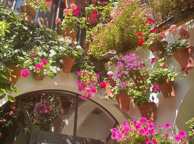 Appartement Geysotur La Estrella *