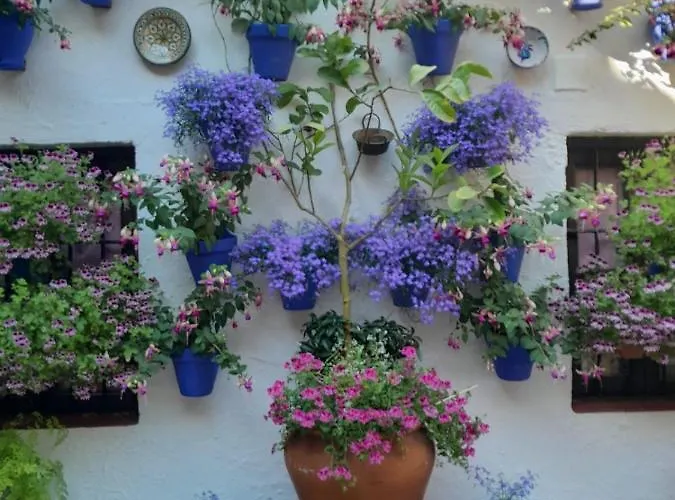 Geysotur La Estrella * Córdoba