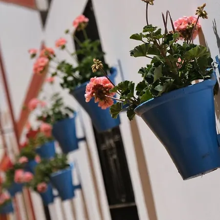 Apartman Geysotur La Estrella