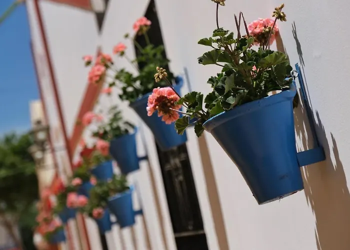 Apartman Geysotur La Estrella