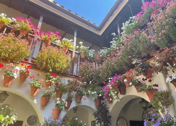 Geysotur La Estrella Córdoba